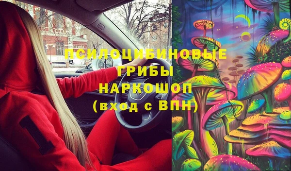 спайс Арсеньев