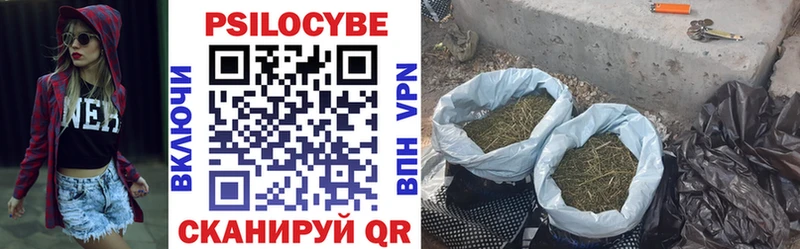 Галлюциногенные грибы Psilocybine cubensis  купить наркотик  Дорогобуж 